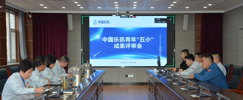 激揚青春智造力！中國樂(lè )凱團委召開(kāi)青年“五小”成果評審會(huì )